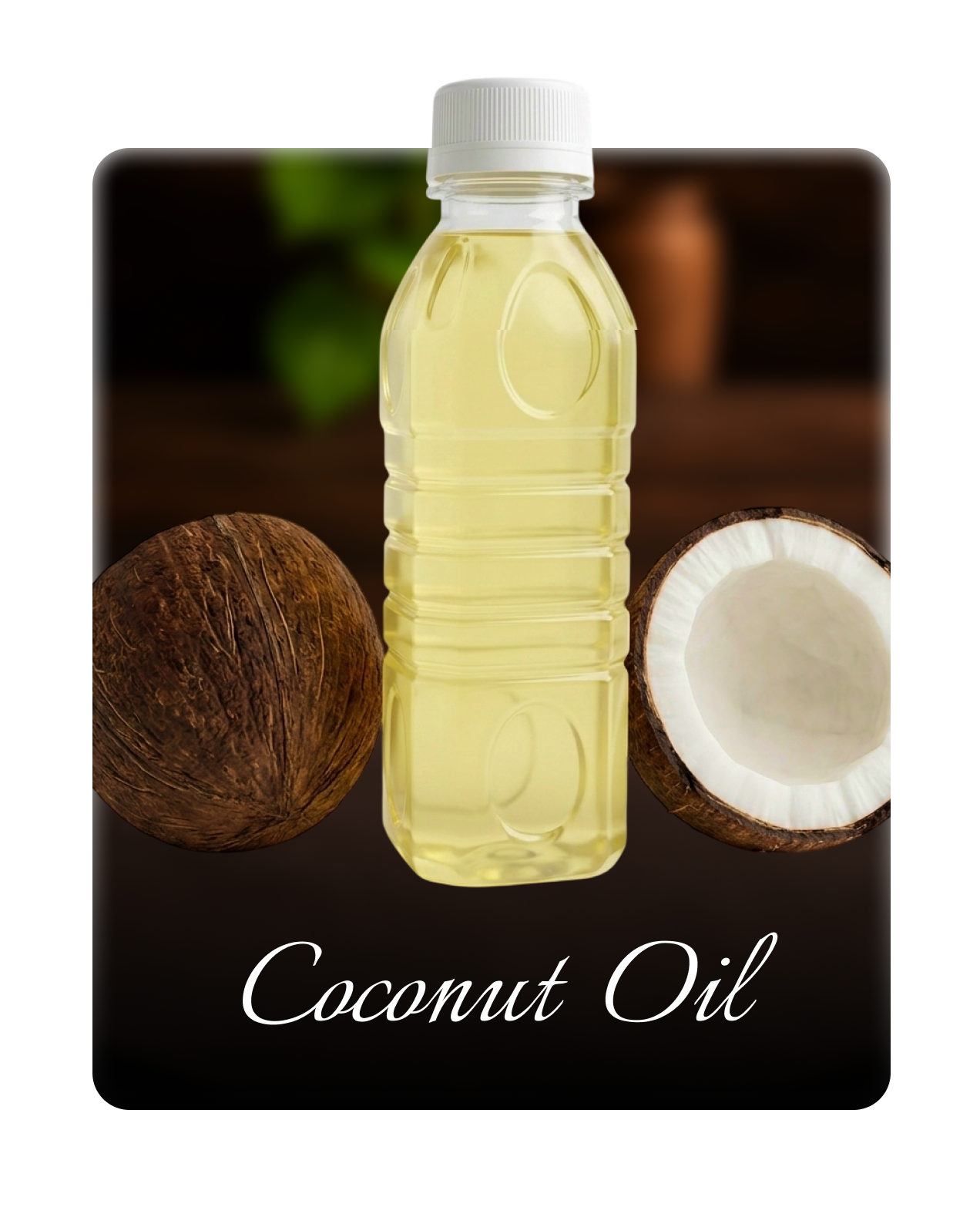 Coconut Oil